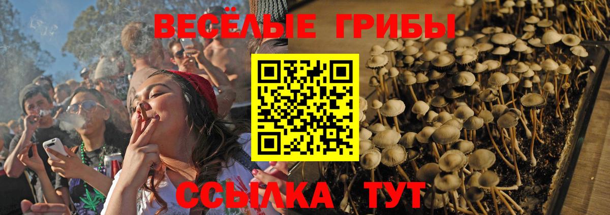 Галлюциногенные грибы мухоморы  Вход с VPN  Можайск 